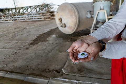 Understanding Srebrenica Genocide + Lunch with Local Family