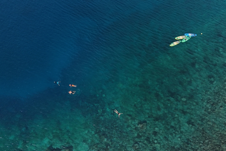 Flamingo Beach: Guided SUP and Snorkeling experience