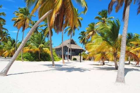 Punta Cana: Saona Island Cruise with Lunch & Open Bar Deluxe