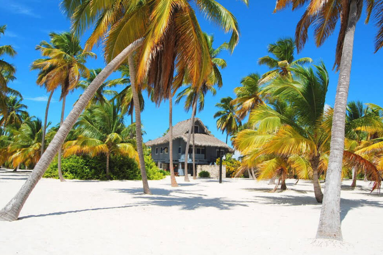 Punta Cana: Saona Island Cruise with Lunch & Open Bar Deluxe