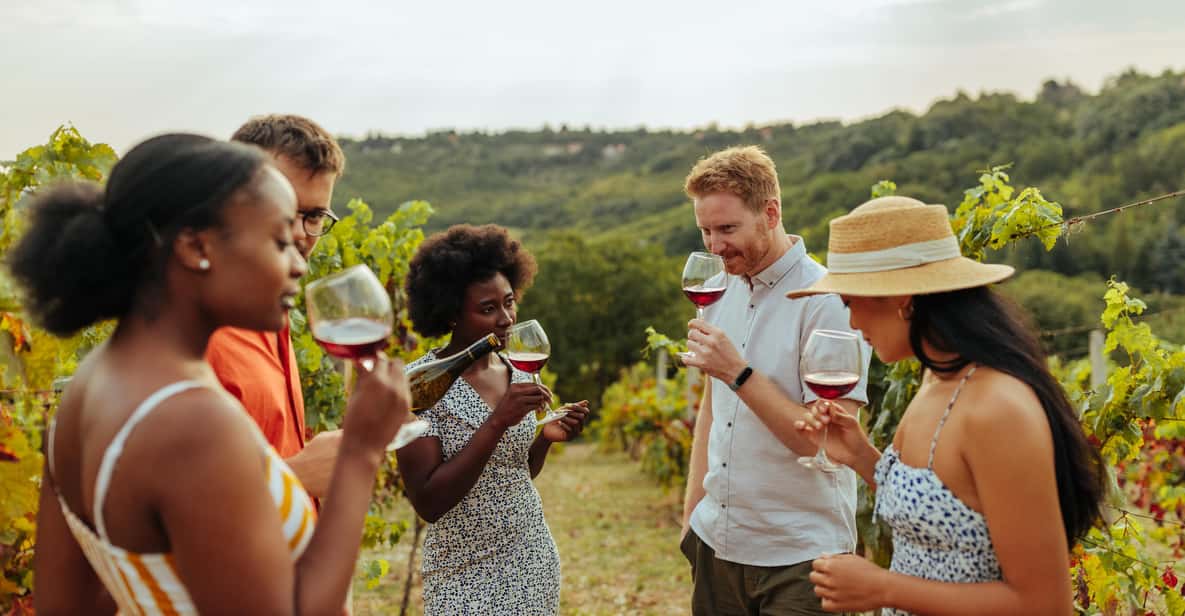 Collingwood Blue Mountains Wine and Cider Tasting Tour GetYourGuide