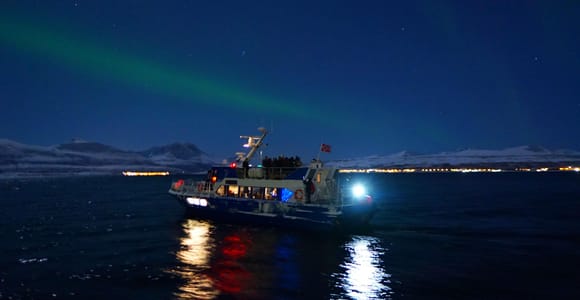 Tromsø: Evening Aurora Cruise