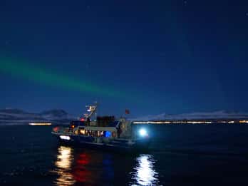 Evening aurora cruise, dinner optional