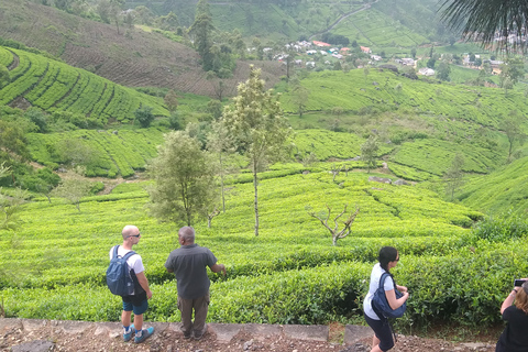 Trekking z Kandy do Ella