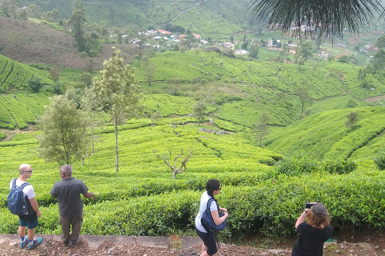 Trekking z Kandy do Ella