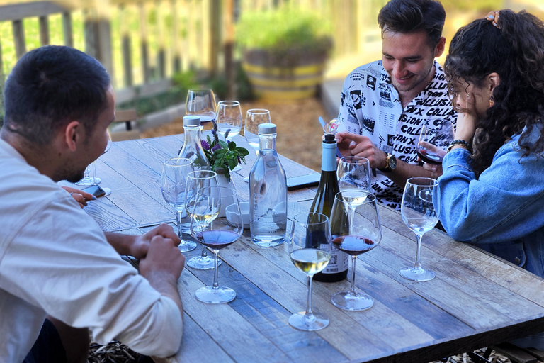 Casablanca-Valparaíso: Explore 2 vineyards with a tour, tasting, and lunch Casablanca, 2 vineyards Tour and tasting + Lunch