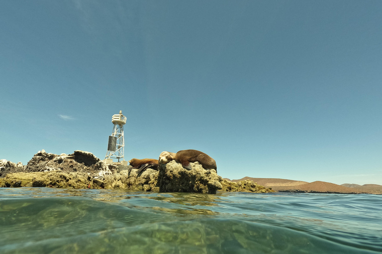 All-inclusive Snorkel in Balandras Hidden beaches, La Paz