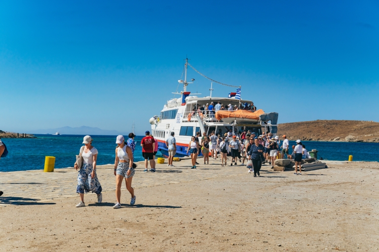 Ab Mykonos: Tour nach Delos mit Tickets ohne AnstehenTour auf Spanisch mit Hotelabholung