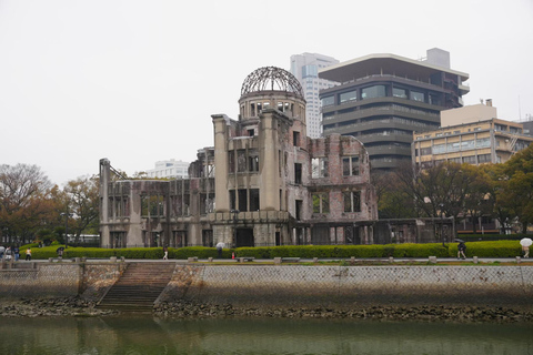 Tokyo: 8-Day Tour with Fuji, Kyoto, Nara, Hiroshima & Osaka Day 8 - Osaka Highlights (Spanish)