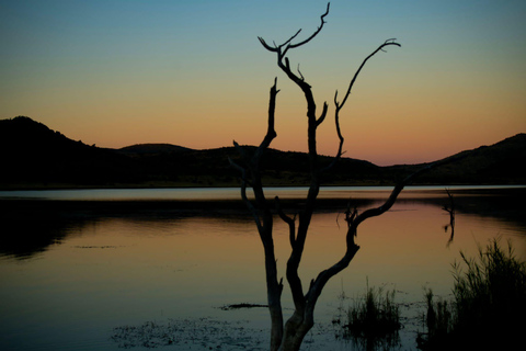 Pilanesberg Tour Big 5 hunt Pilanesberg Tour Big 5 hunt