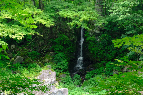 Dagtour: Ontdek het werelderfgoed en het nationale park van Nikko