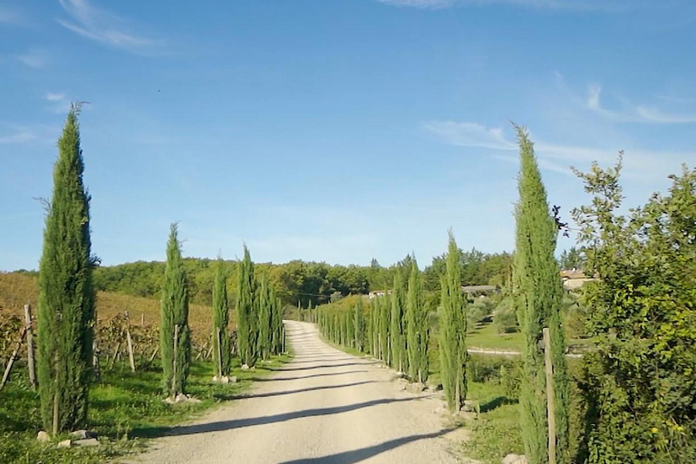 Desde Florencia: tour privado de medio día por Chianti y degustación de vinos