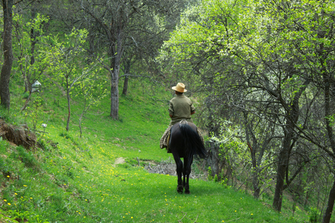 Windsor: Royal Horseback Ride Through Great Park & Deer Park