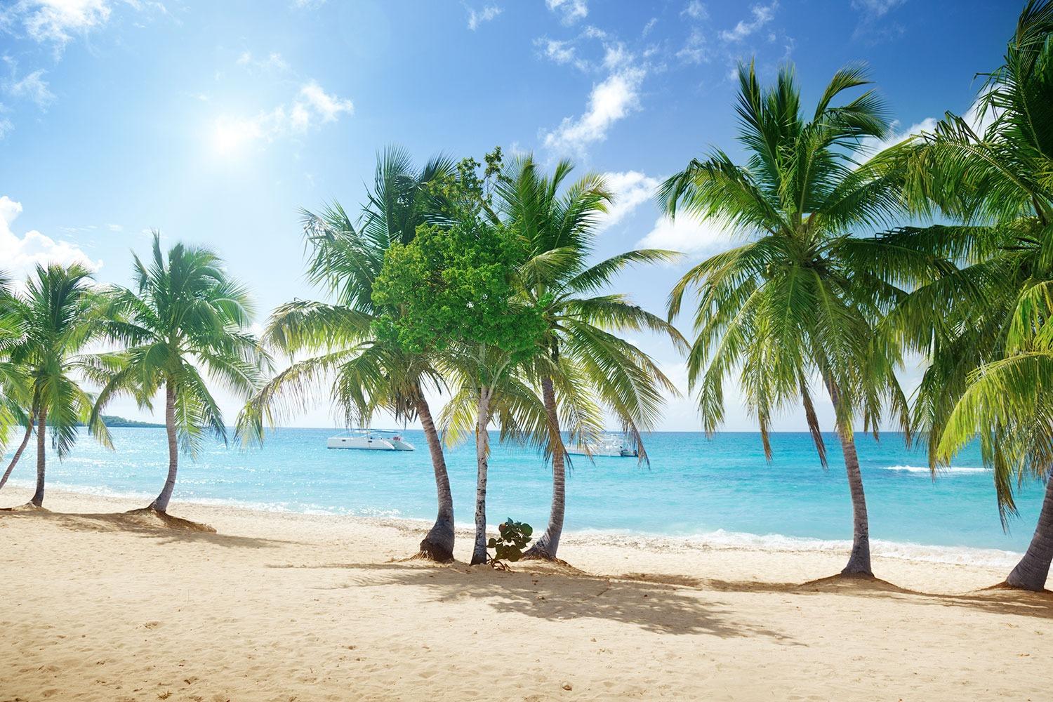 Katamaranfahrt zur Insel Catalina mit Mittagessen ab Bayahibe