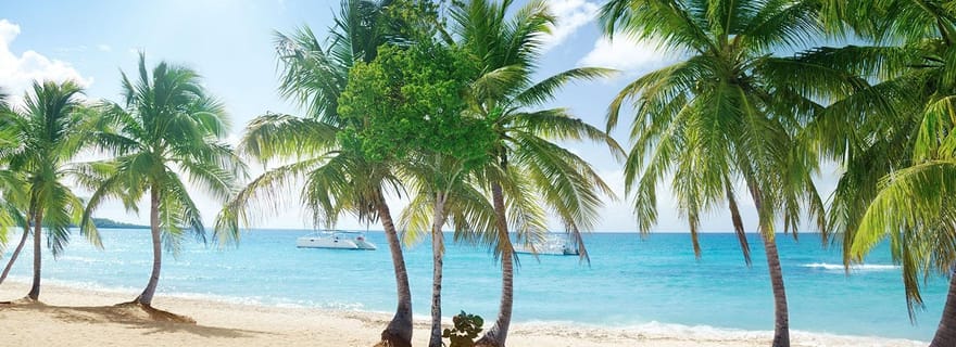 Depuis Bayahibe : croisière en catamaran pour l'île Catalina avec déjeuner
