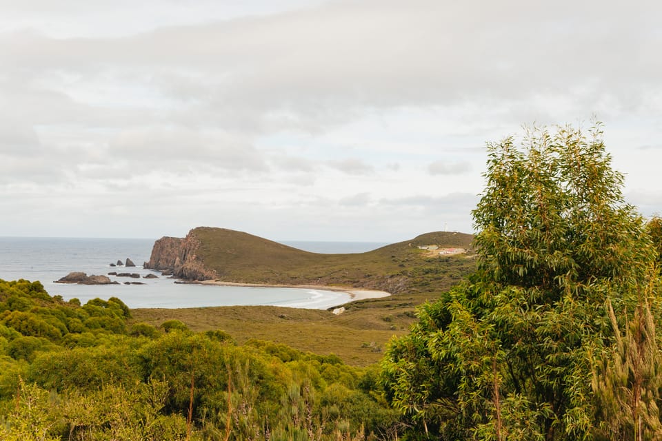 Hobart Bruny Island Adventure With Lunch Lighthouse Tour Getyourguide