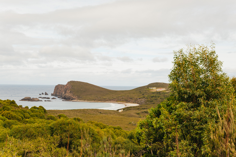 Hobart : Aventure sur l'île de Bruny avec déjeuner et visite du phare