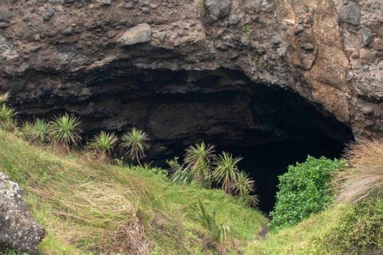 Private Auckland Natural Caves and Tunnels TourAuckland Natural Caves and Tunnels Tour