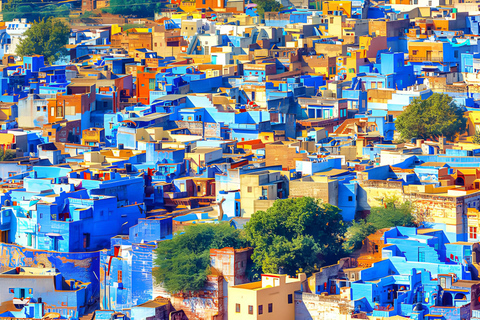 Jodhpur: Tour privado guiado por la ciudad del Fuerte Mehrangarh