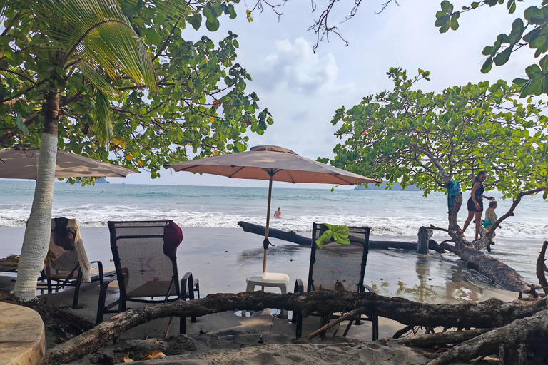Private Tour Manuel Antonio Beach Club & Wildlife Day Trip