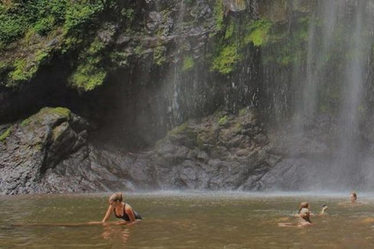 Cascate e pranzo caldo, passeggiata nel villaggio del Kilimangiaro, tour del caffè