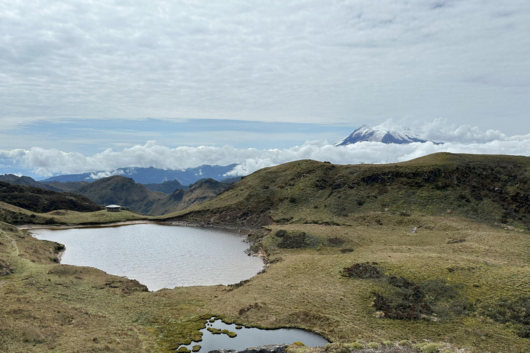 One Day Exploration Antisana Volcano and Andean Condor