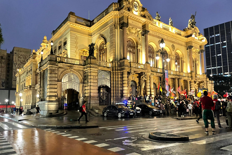 São Paulo: Underground Culture and Arts TourSão Paulo: tour door de undergroundcultuur en -kunst