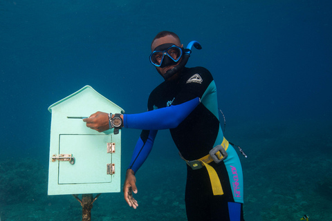 بورت فيلا: البحيرة الزرقاء، عدن على النهر وجولة السلاحف