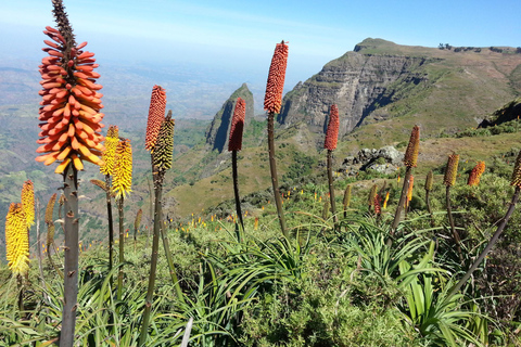 Addis Abeba: 10-tägige Tour durch das Simien-Gebirge und LalibelaAddis Abeba: 10-tägige Tour durch das Simien-Gebirge und nach Lalibela