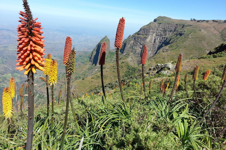 Addis Abeba: 10-dniowa wycieczka w góry Simien i Lalibela