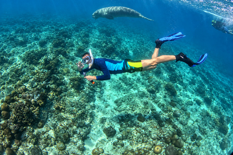 Coron: Dugong and Turtle Watching Tour w/ Lunch & Transfers