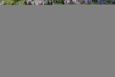 Paris: Van Gogh & Monet (Giverny) Tour with Montmartre Walk