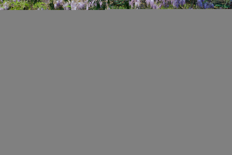 Paris: Van Gogh & Monet (Giverny) Tour with Montmartre Walk