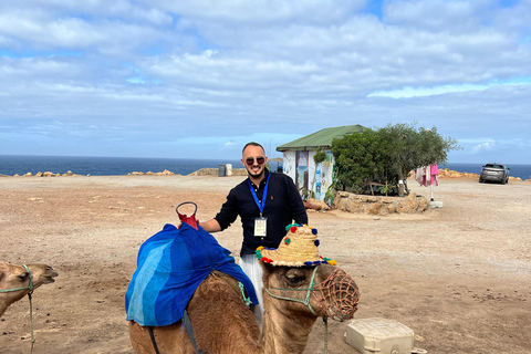 Explore Tangier: Guided City Tour and Seaside Camel Ride Pick up from the cruise terminal