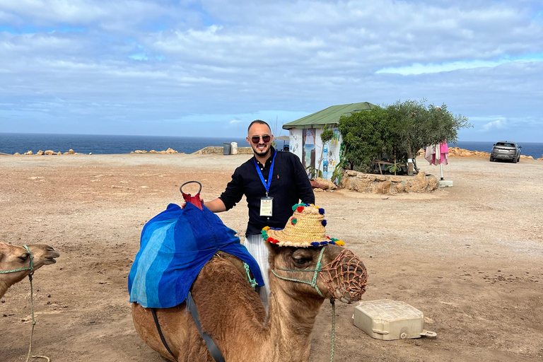 Explore Tangier: Guided City Tour and Seaside Camel Ride Pick up from the cruise terminal