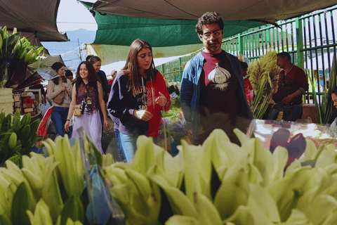 Bogotá: The Fruit Tour at Paloquemao Market