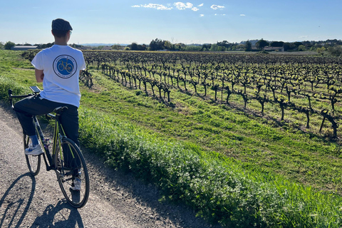Montpellier: Guided Nature Ride at Lac du Crès by Electric Bike Montpellier: Guided Nature Ride on Lake Crès by Electric Bike