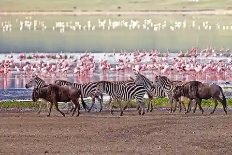 5 Days Group Serengeti, Ngorongoro & lake Manyara Safari