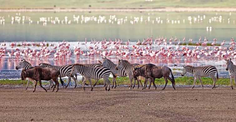 5 Days Group Serengeti, Ngorongoro & lake Manyara Safari