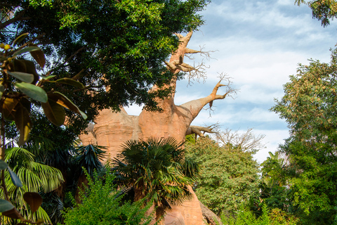 Fuengirola: Bioparc Entrance Ticket Bioparc Fuengirola General Admission Day Ticket