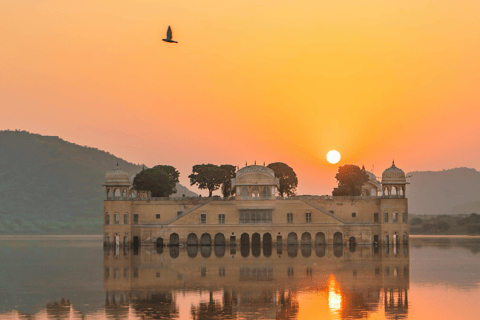 Jaipur: All Inclusive Full Day City Tour with Entry Ticket