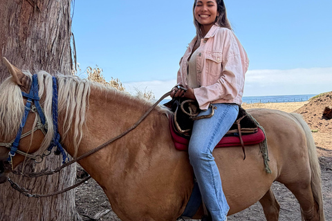 From Santiago: Papudo Lobos Island Boat & Horseback Ride