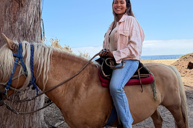 From Santiago: Papudo Lobos Island Boat & Horseback Ride