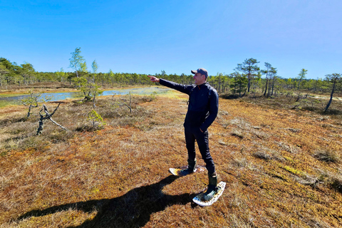 Ķemeri Bogs Adventure: Explore Wetlands In Bog Shoes