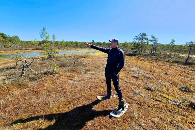 Ķemeri Bogs Adventure: Explore Wetlands In Bog Shoes