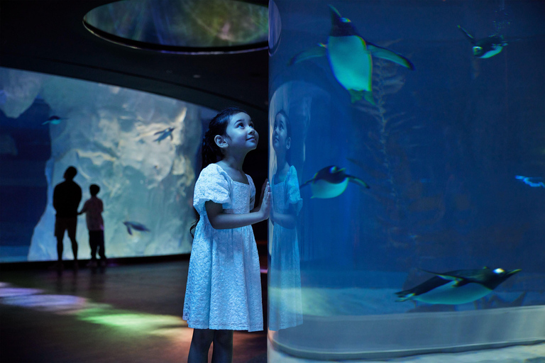 Singapore: Bird Paradise Entry Ticket with Hotel Transfer