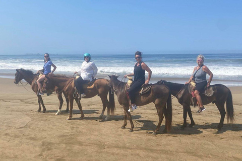 Zihuatanejo: Ridning på hästryggen med Playa Larga-stranden