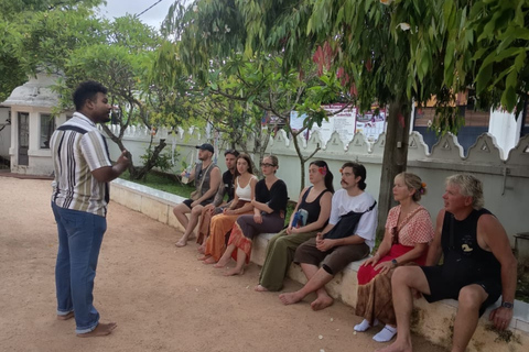 Negombo to Kandy: Pinnawala/ Tea Factory (private Tour)