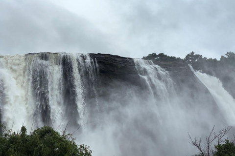 Kochi: Athirappilly Waterfalls & Fort Kochi Full Day Tour