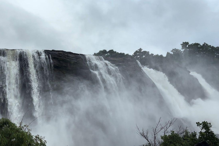 Kochi: Athirappilly Waterfalls & Fort Kochi Full Day Tour